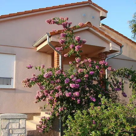Rose Garden *