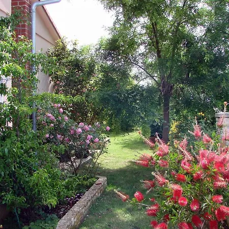Rose Garden Βίλα Šišan