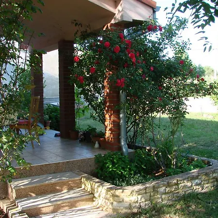 Rose Garden