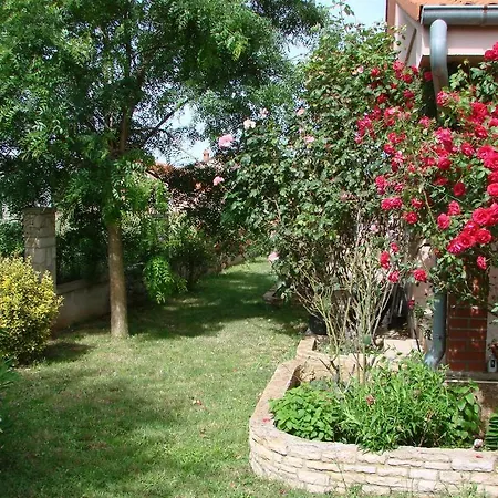Βίλα Rose Garden