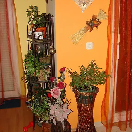 Rose Garden Villa